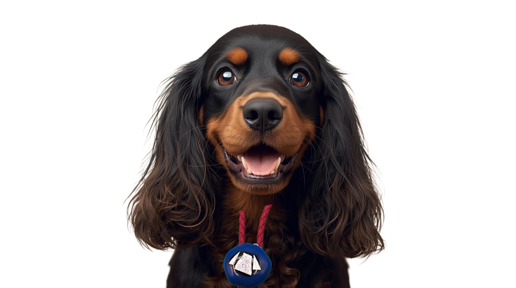 Magnetic Pet Bolo | Southwestern Pet Bolo Accessory | Dichroic Maroon Faux Leather Bolo - Neck Size (S)