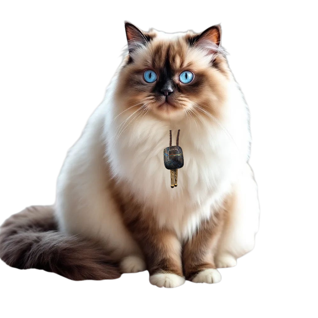 Magnetic Pet Bolo | Special Occasion Pet Accessory | Dichroic Brown Genuine Leather Bolo - Neck Size (XL)